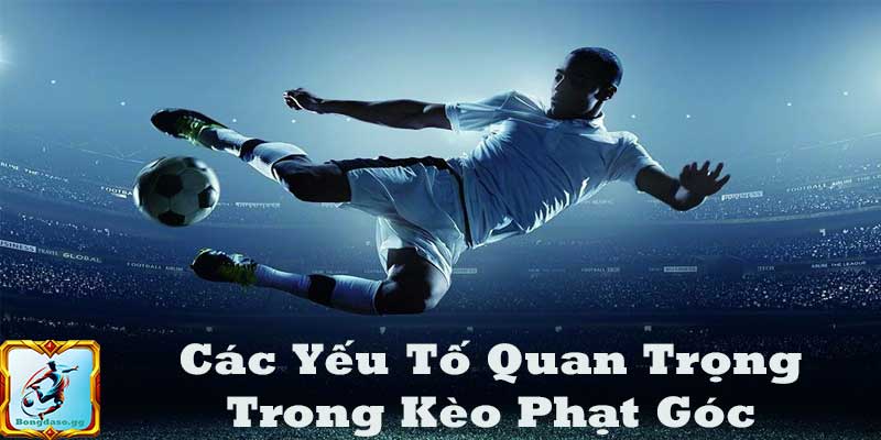 Các Yếu Tố Quan Trọng Khi Xem Kèo Phạt Góc
