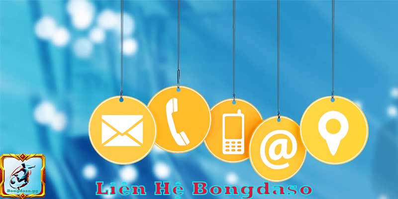 Liên Hệ Bongdaso – Tổng Hợp Các Kênh Hỗ Trợ Nhanh Nhất