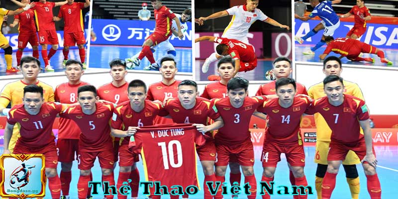 Thể Thao Việt Nam – Cập Nhật Thành Tích Và Vận Động Viên